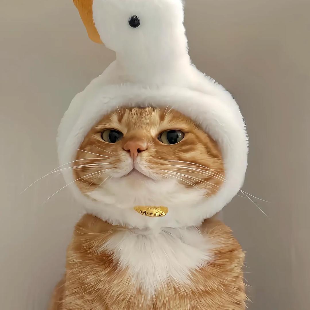 格格