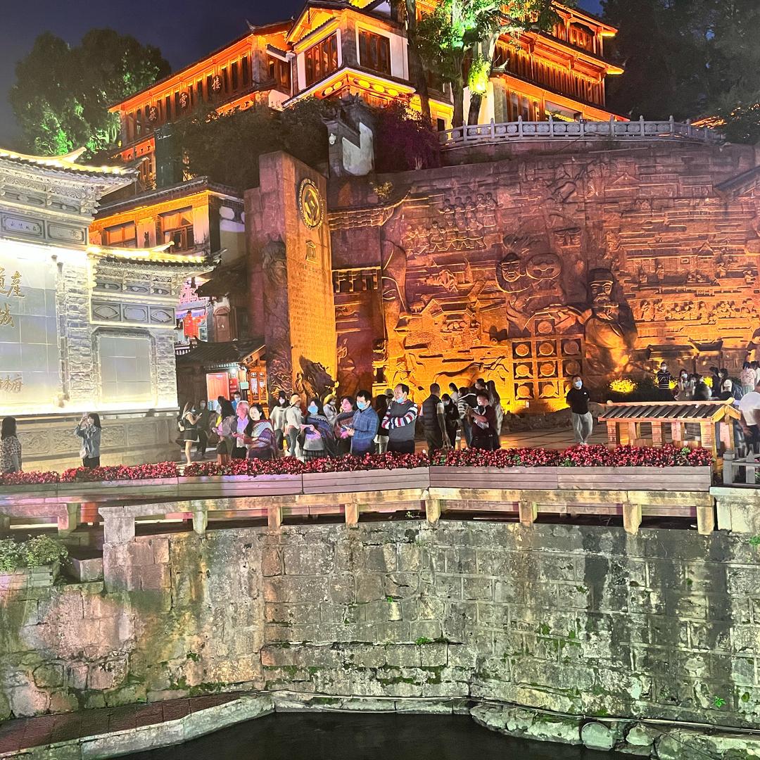 梧桐树🔱