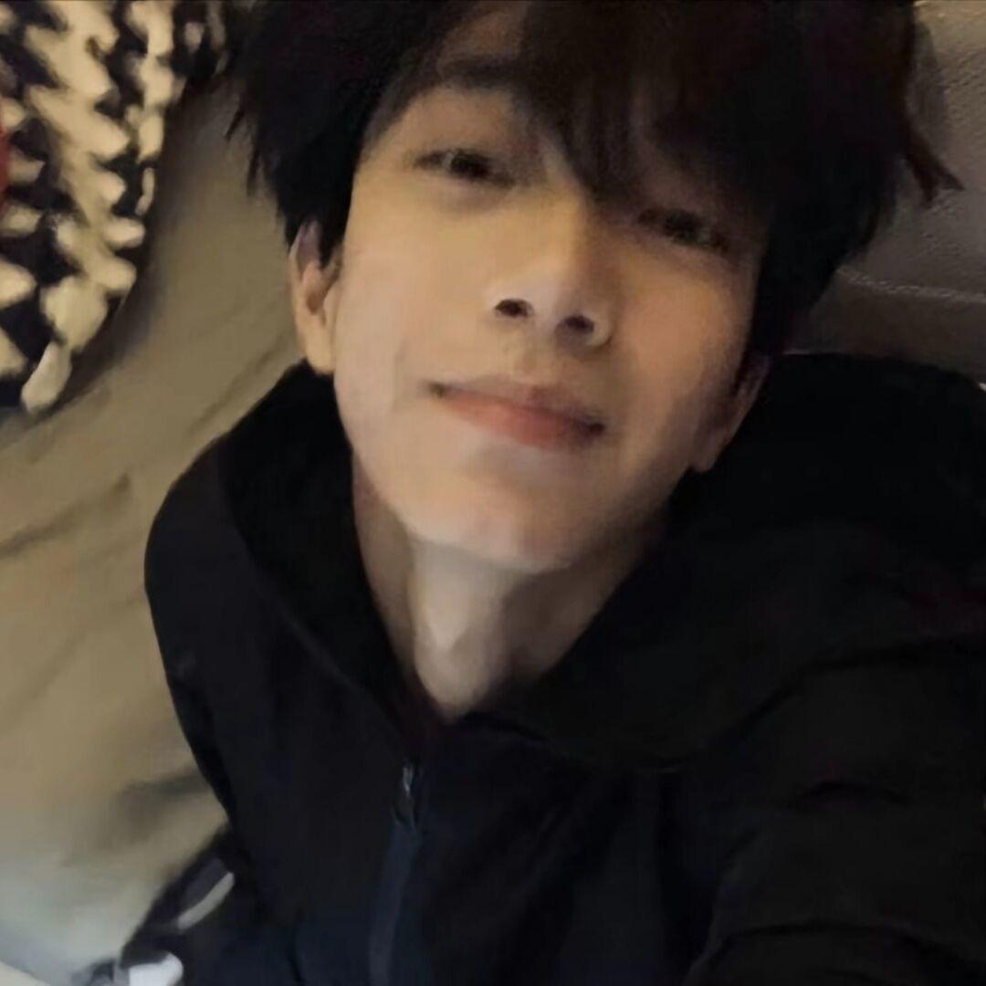 会拉杆的小狗