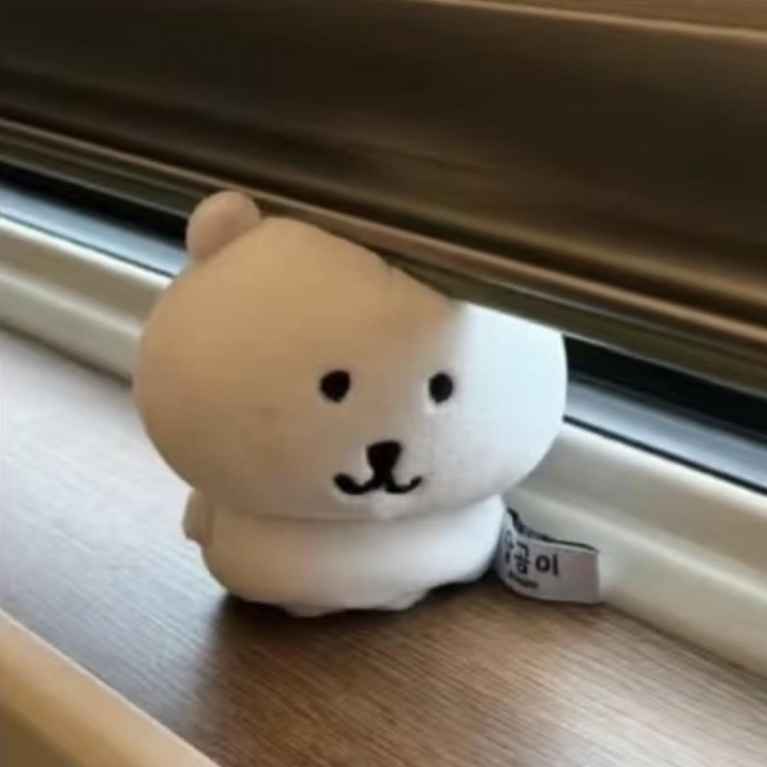 1盆猫