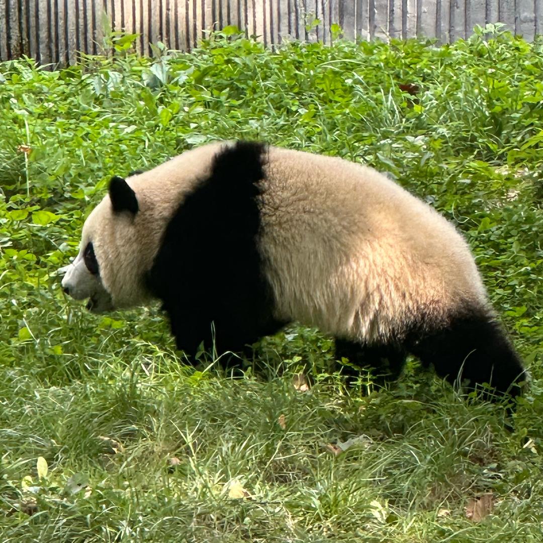门徒