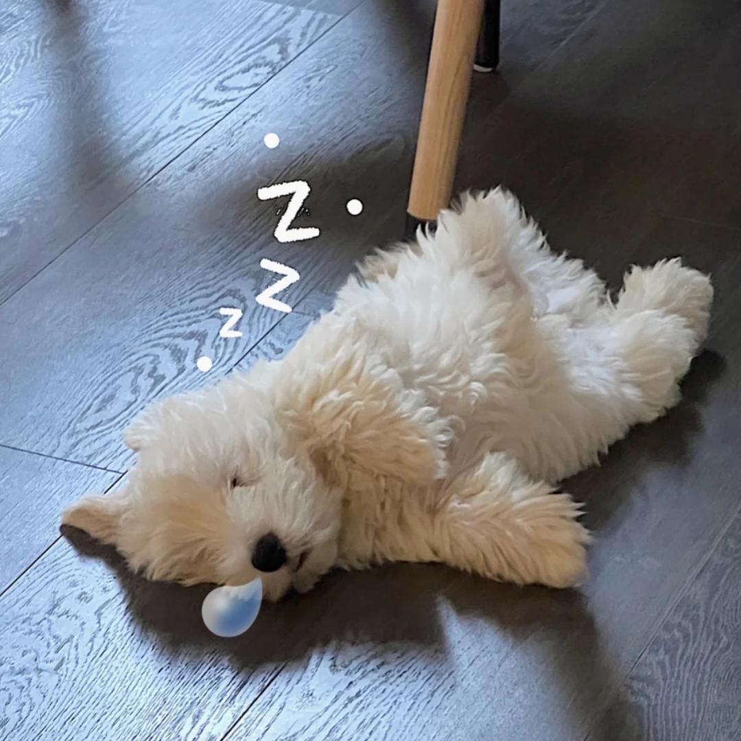亿口豆奶