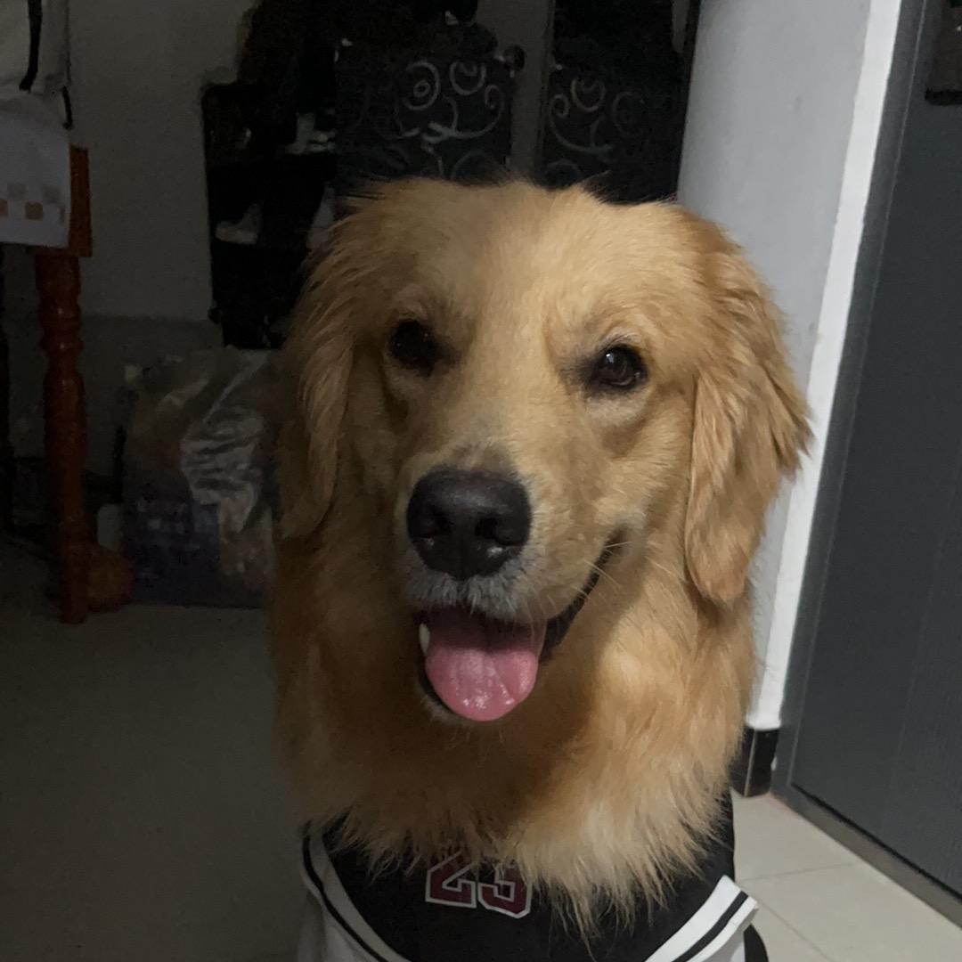 不会让别人