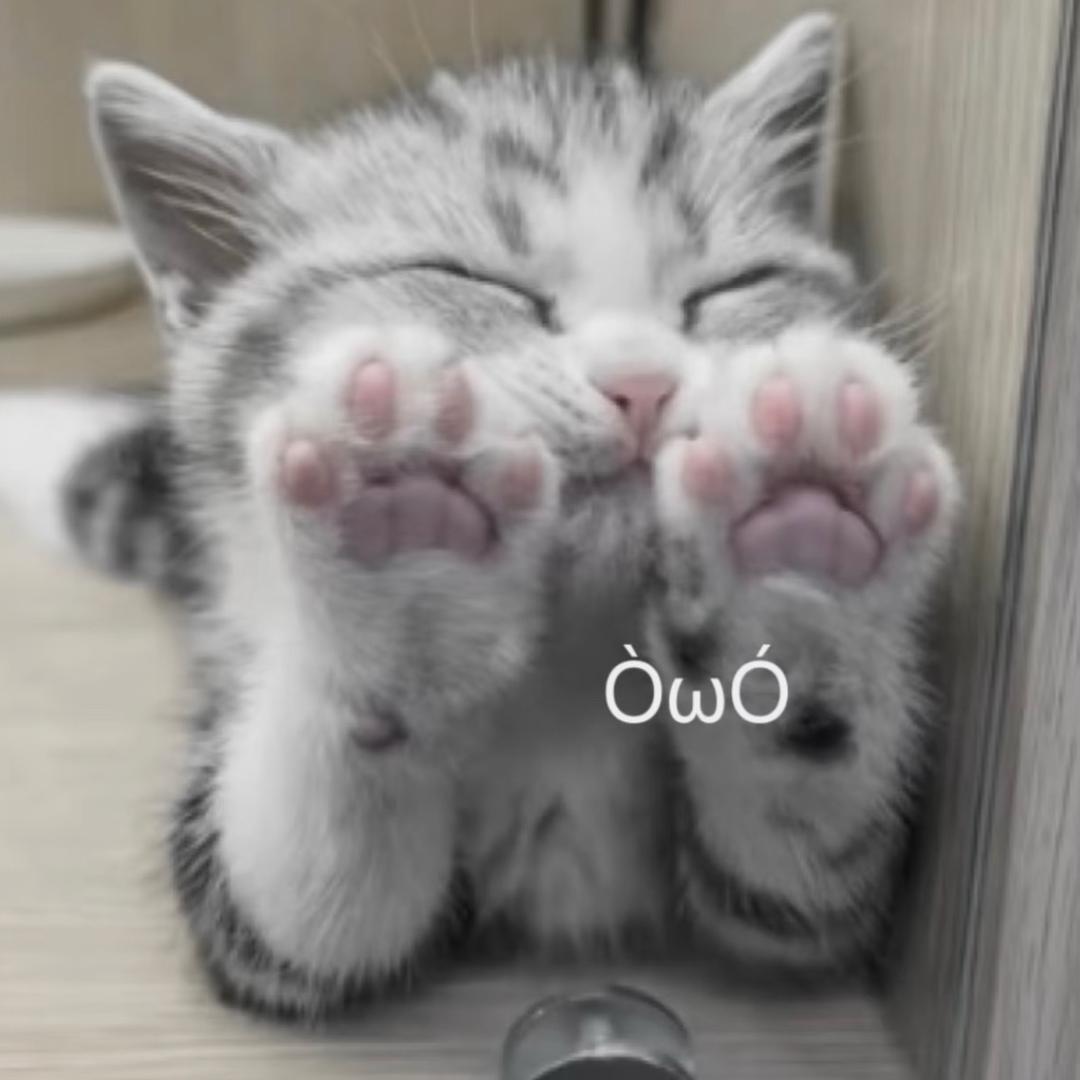 如果我也变成一条鱼