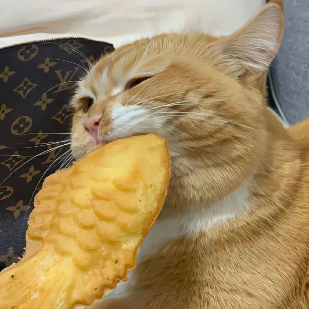 哆宝宝成长记