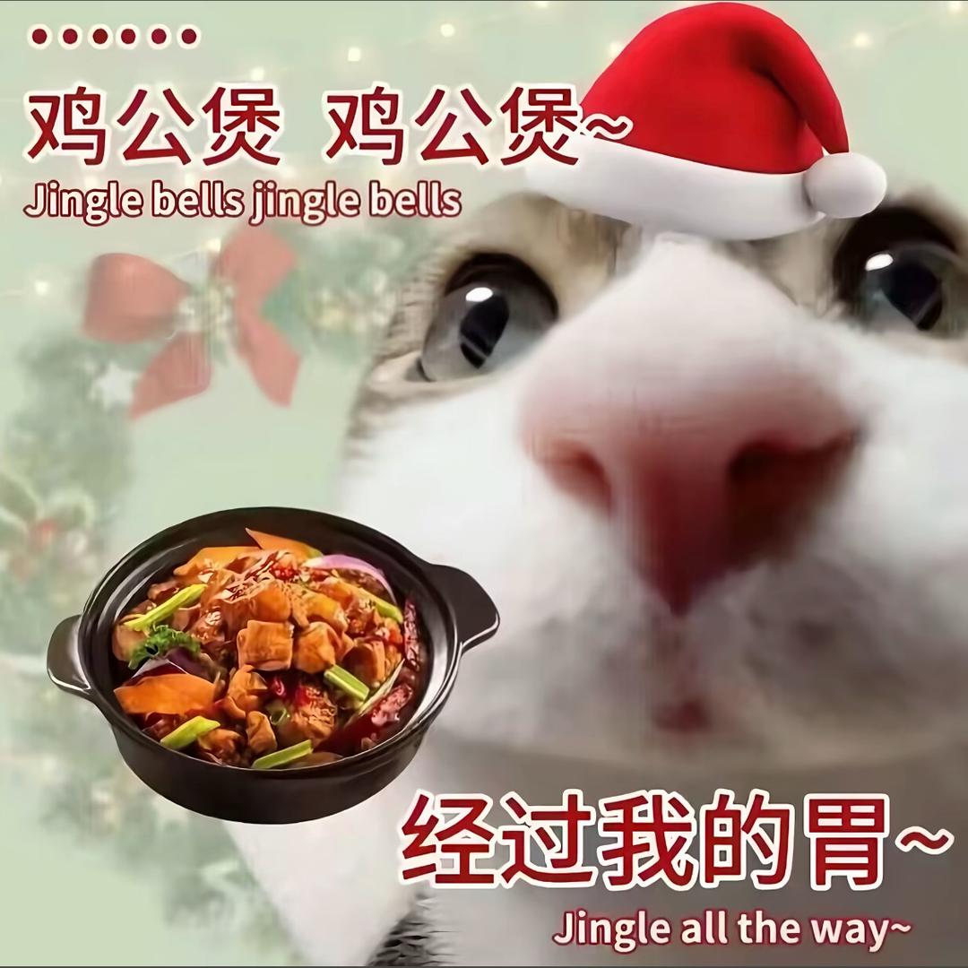 小猫捷