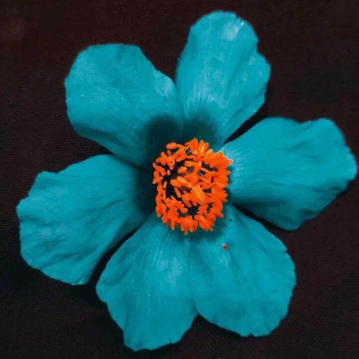 梦想里，😜          👀