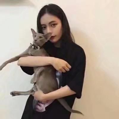 阿🐷