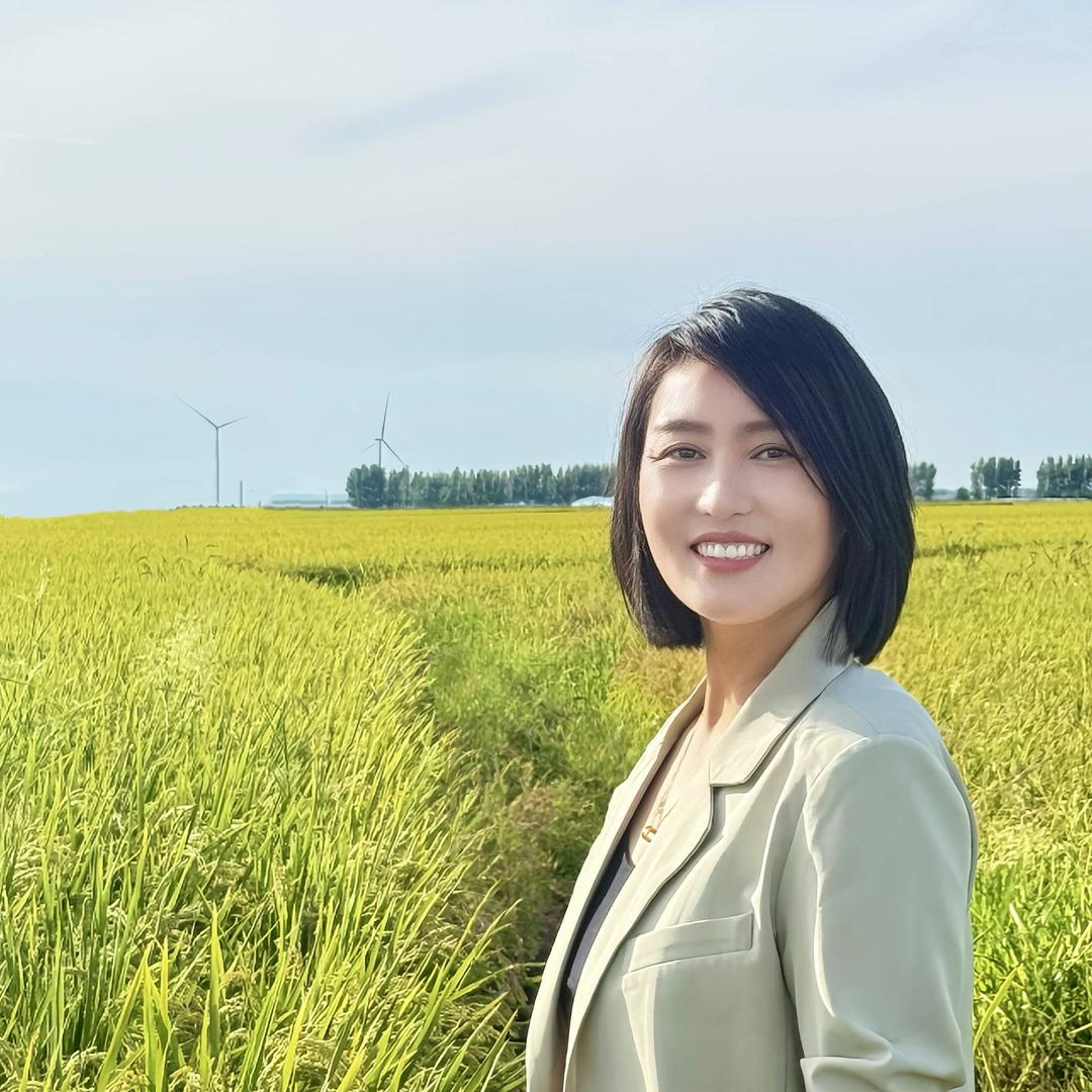 东北七星湖大米