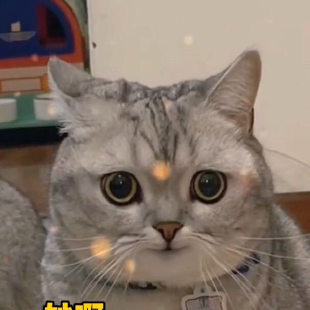 No