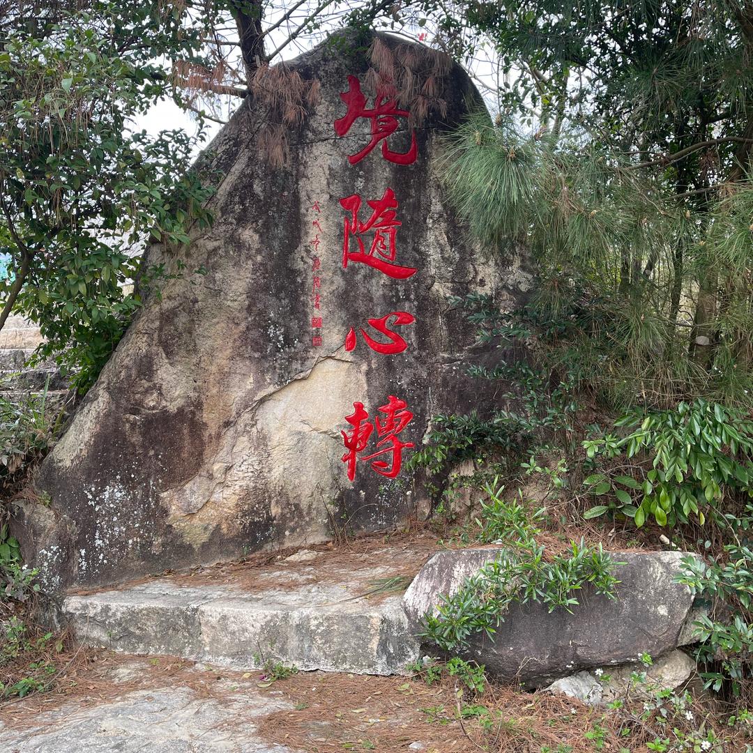 往事一杯酒💪💪