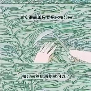 龙膜
