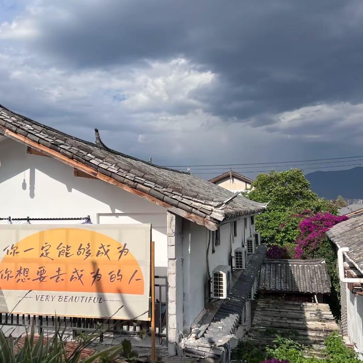 张琴介绍