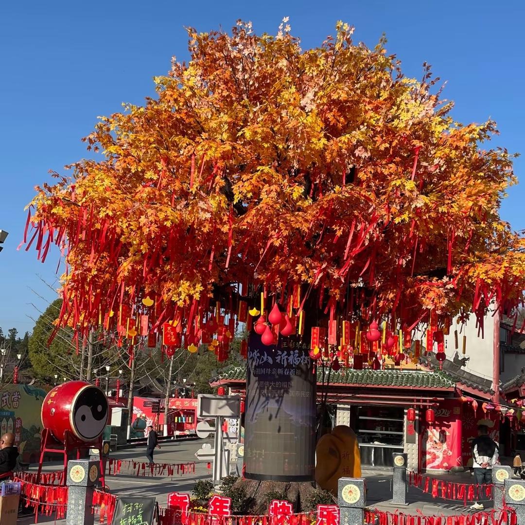 许愿树