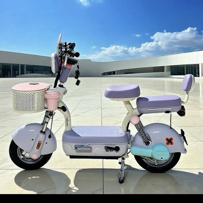 电动车工厂-专姐