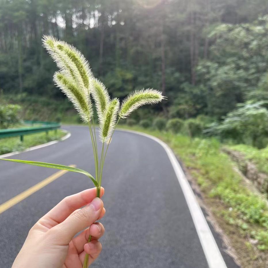 想买房的姑娘🏠头像