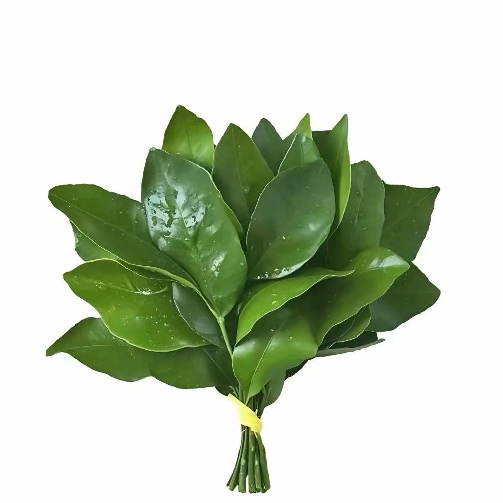 呼呼