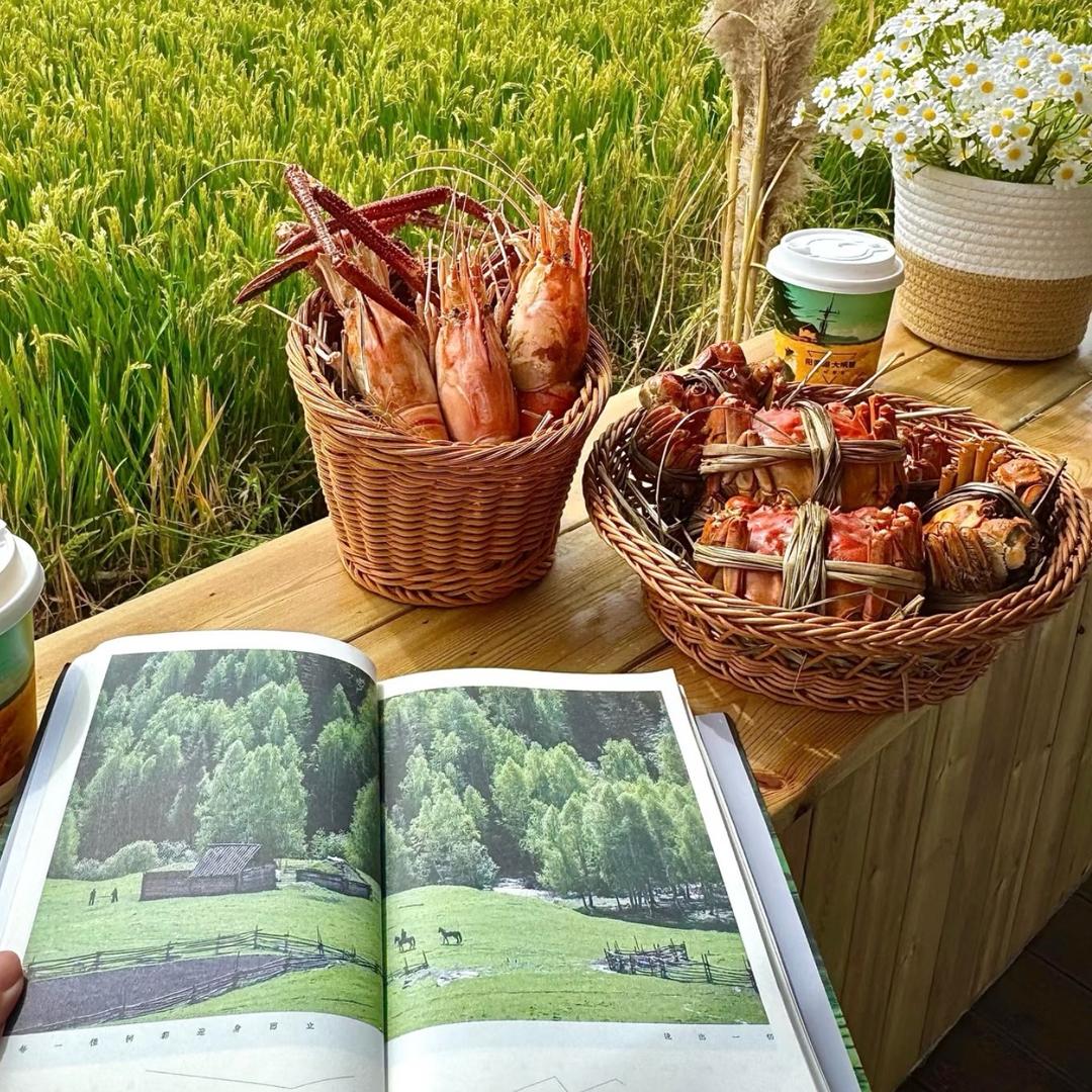 查均希(直播返场爆款)