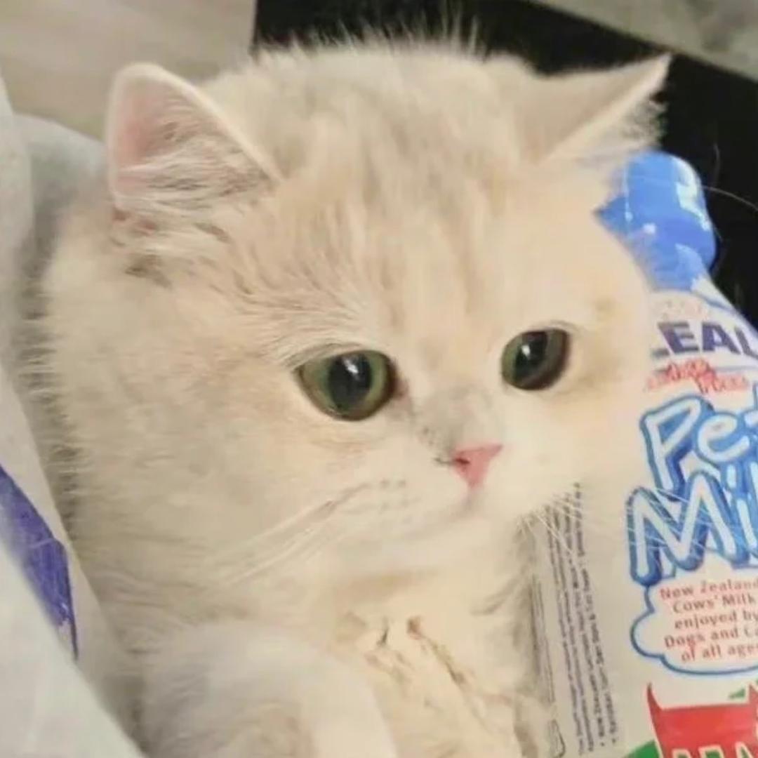 电所有人前列x