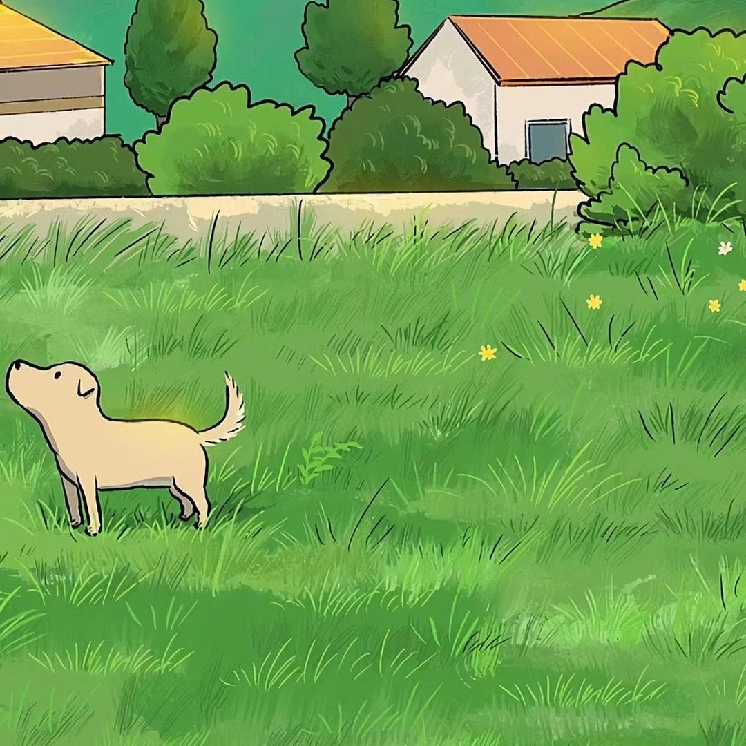 零心眼儿