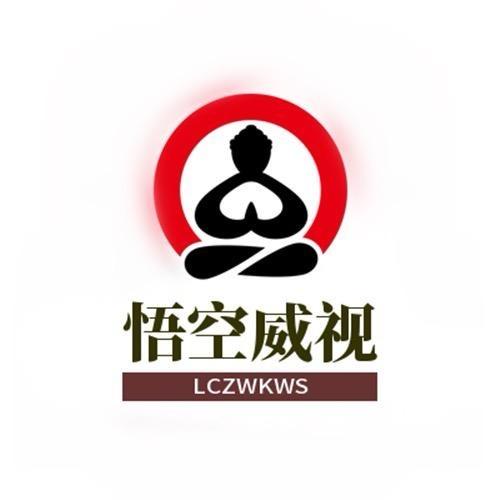 才智智能安防套装专营店