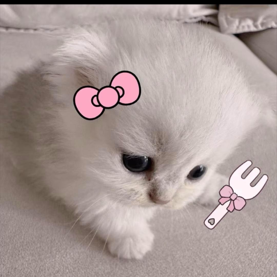 啊啊啊啊啊啊打