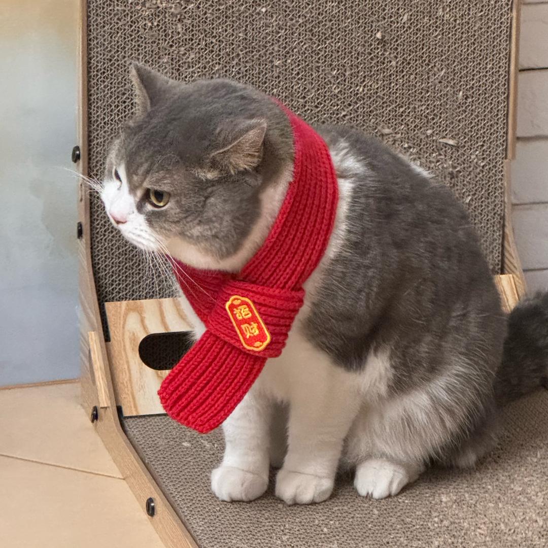 想吃脆皮肠Chloe