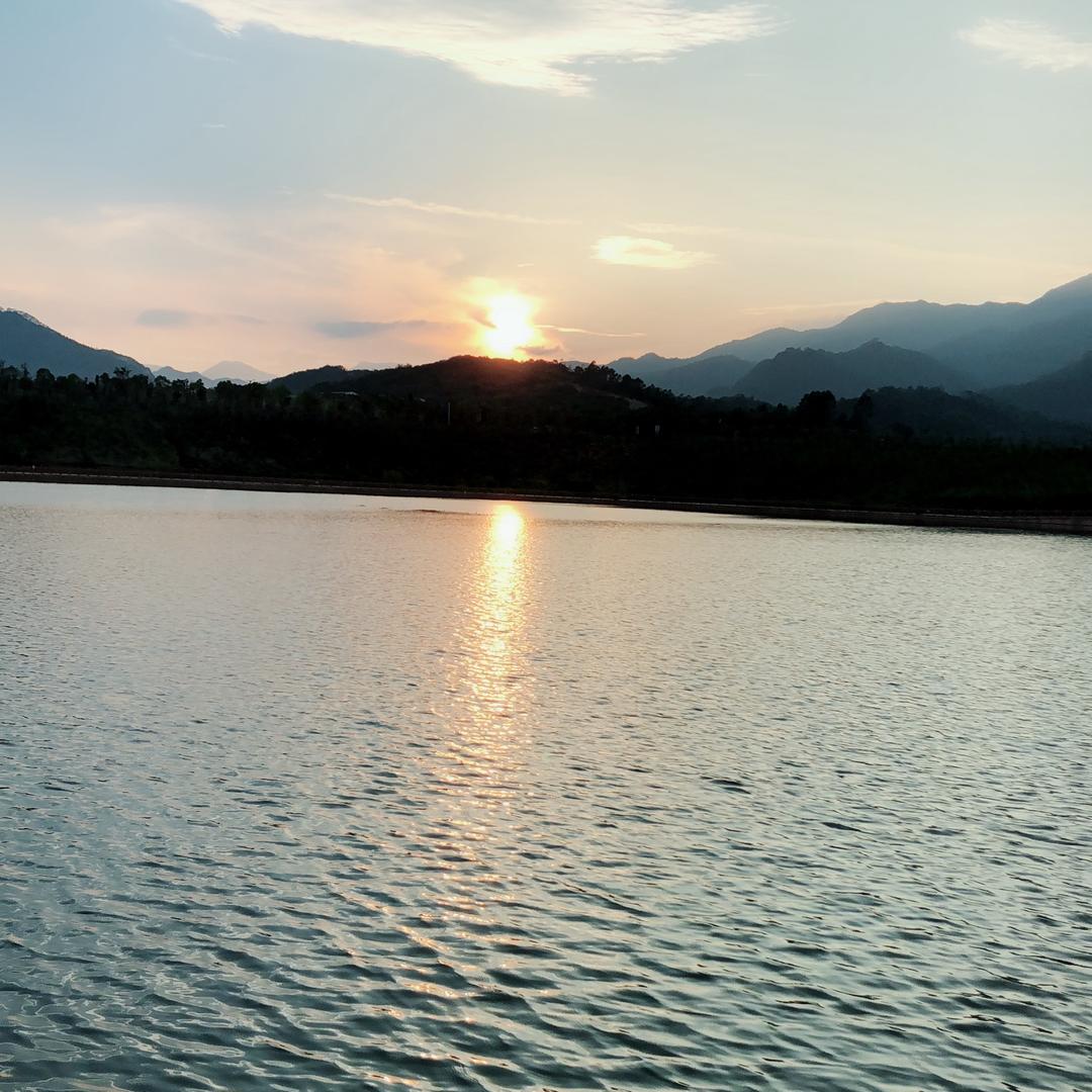 纵横四海