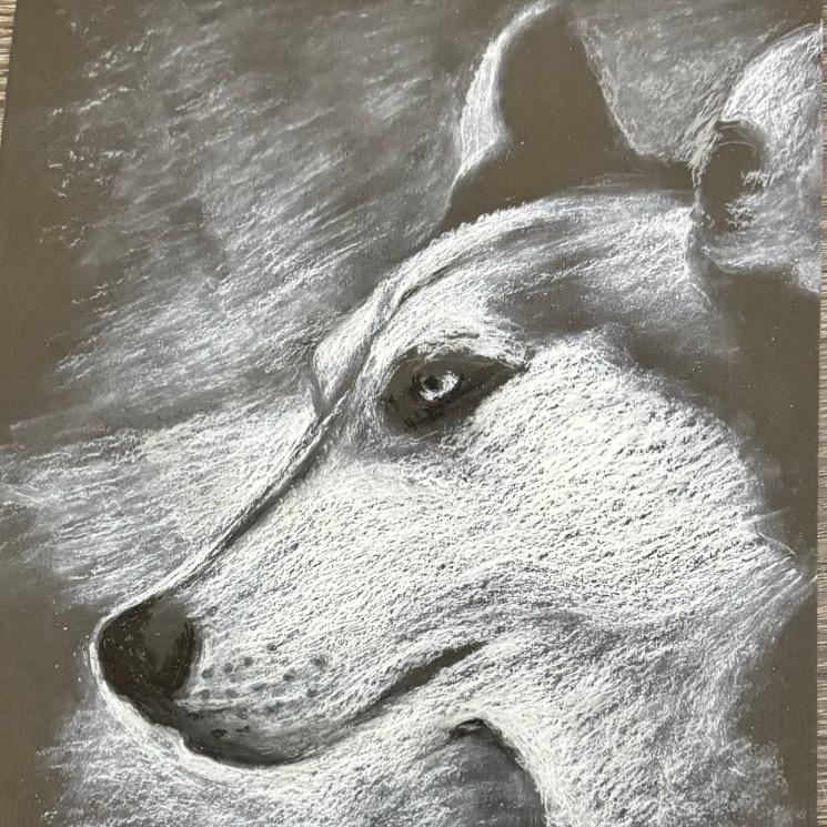 老6「使命召唤:三角洲」@抖音