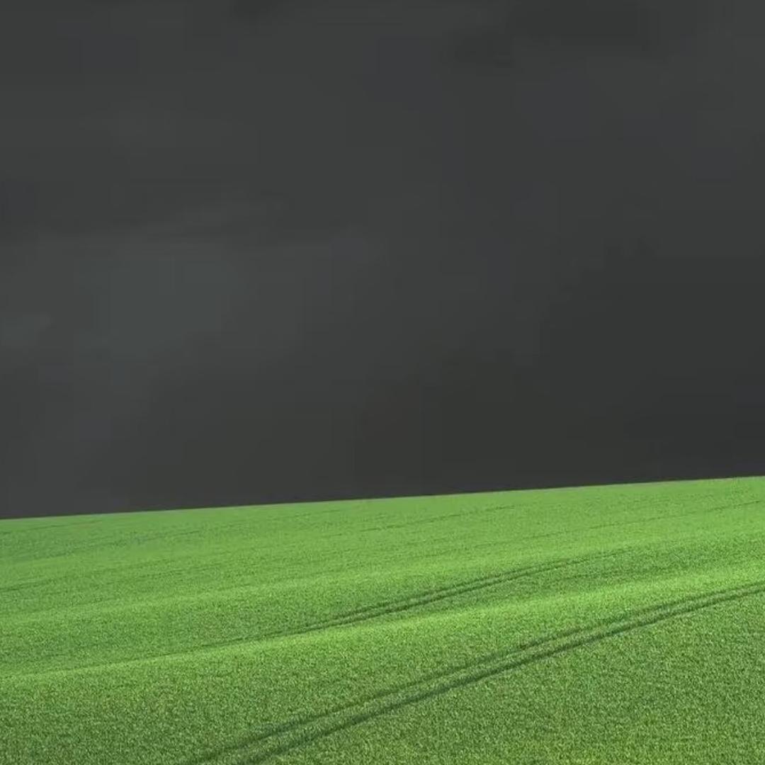 辀