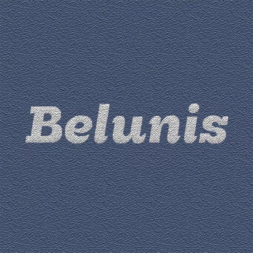 Belunis贝伦妮斯女包
