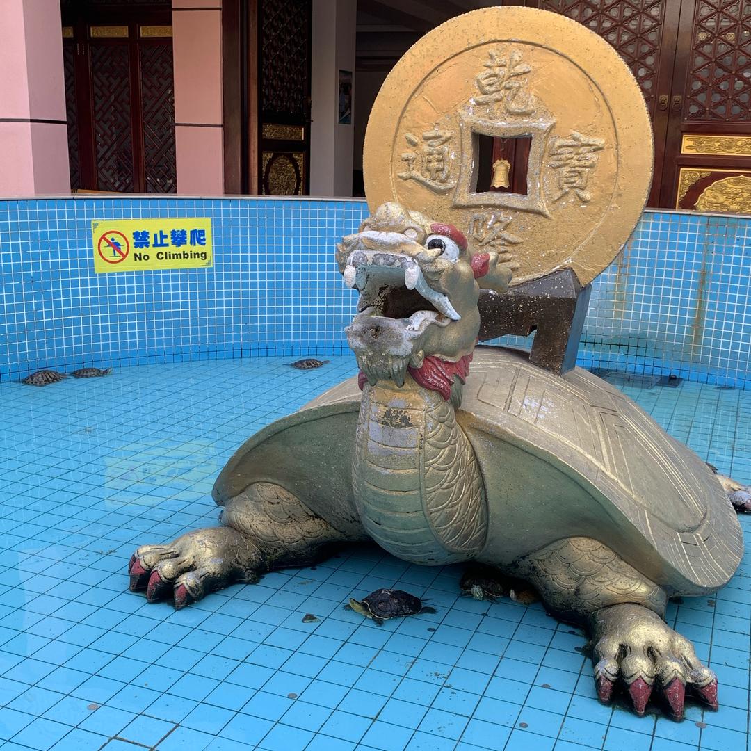 北极星不是南