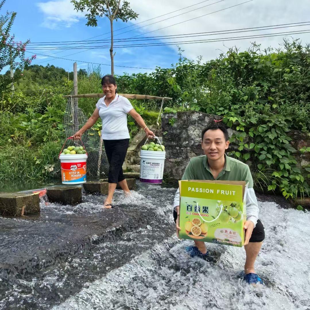 罗浮新南围完里百香果园.