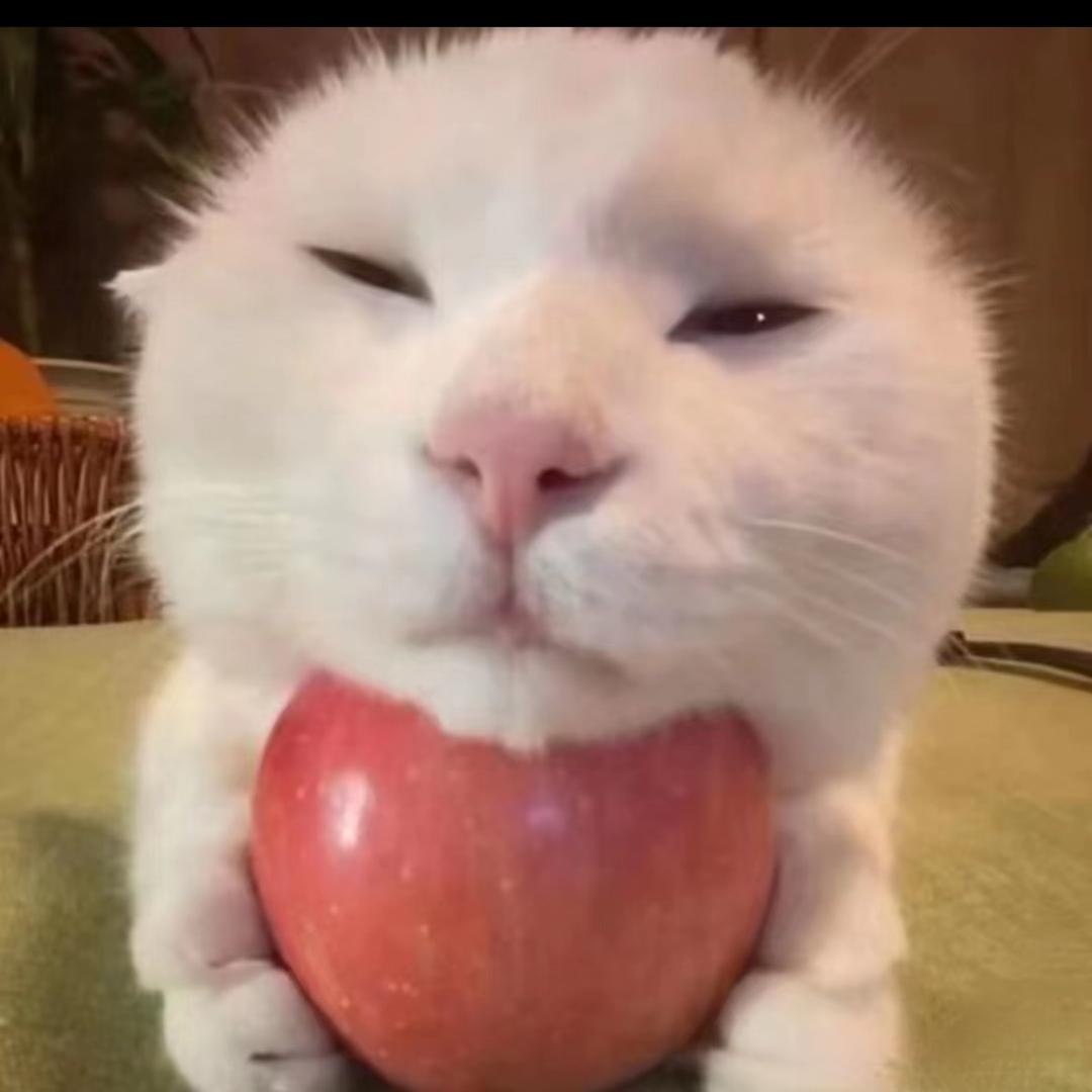 汪汪不是汪
