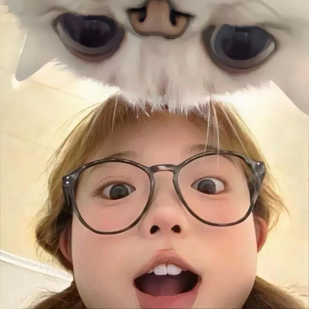 决心-
