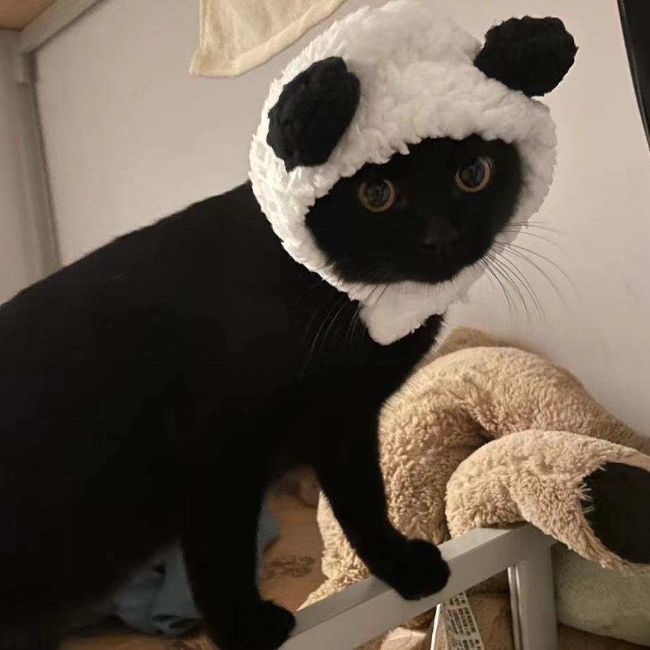 -祈愿小依