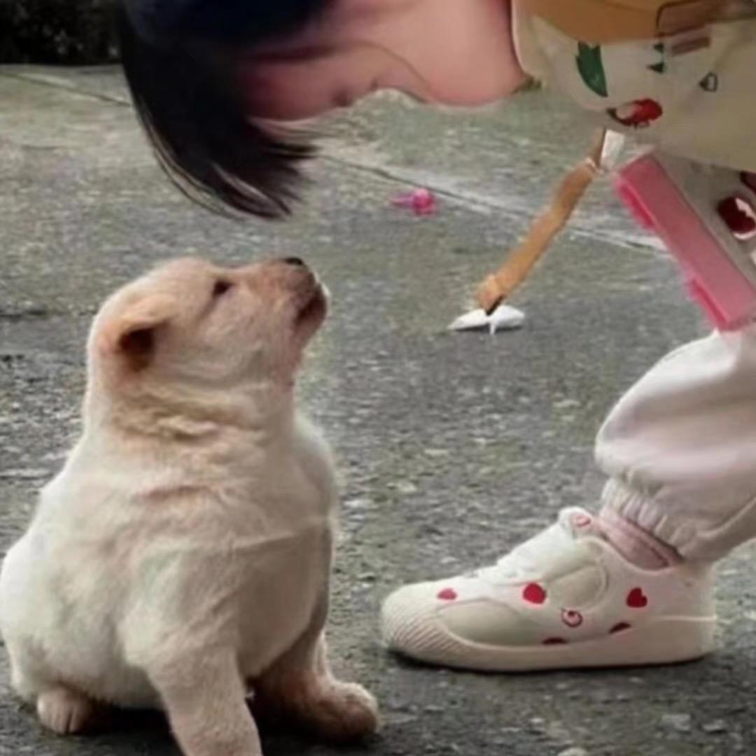 千欲未死花尽散