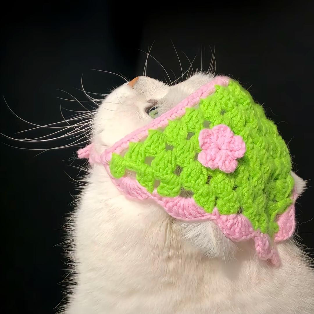 一条小金鱼🐟