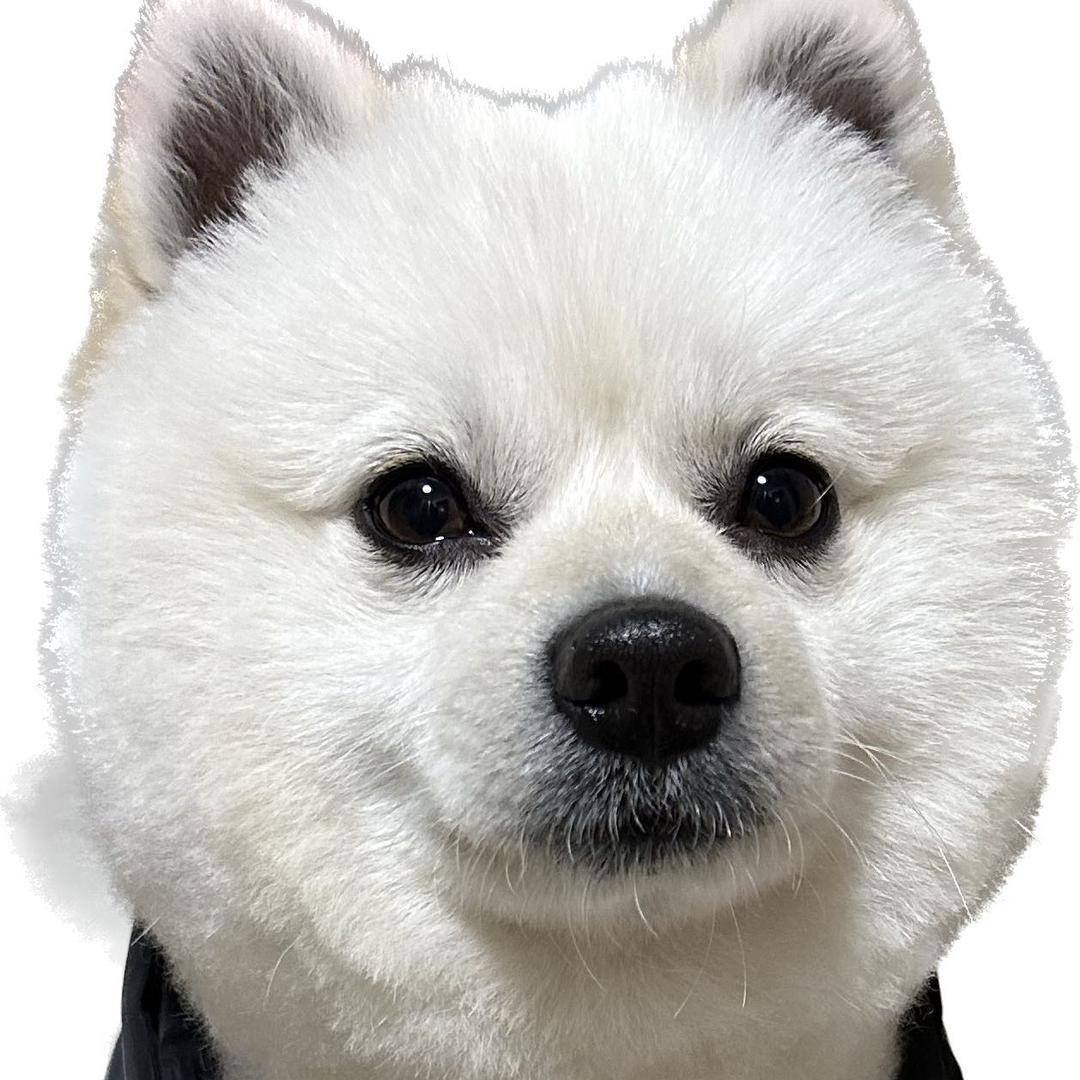 ღꕥ᭄ꦿ往后余生এ⁵²º᭄এ ᭄💕