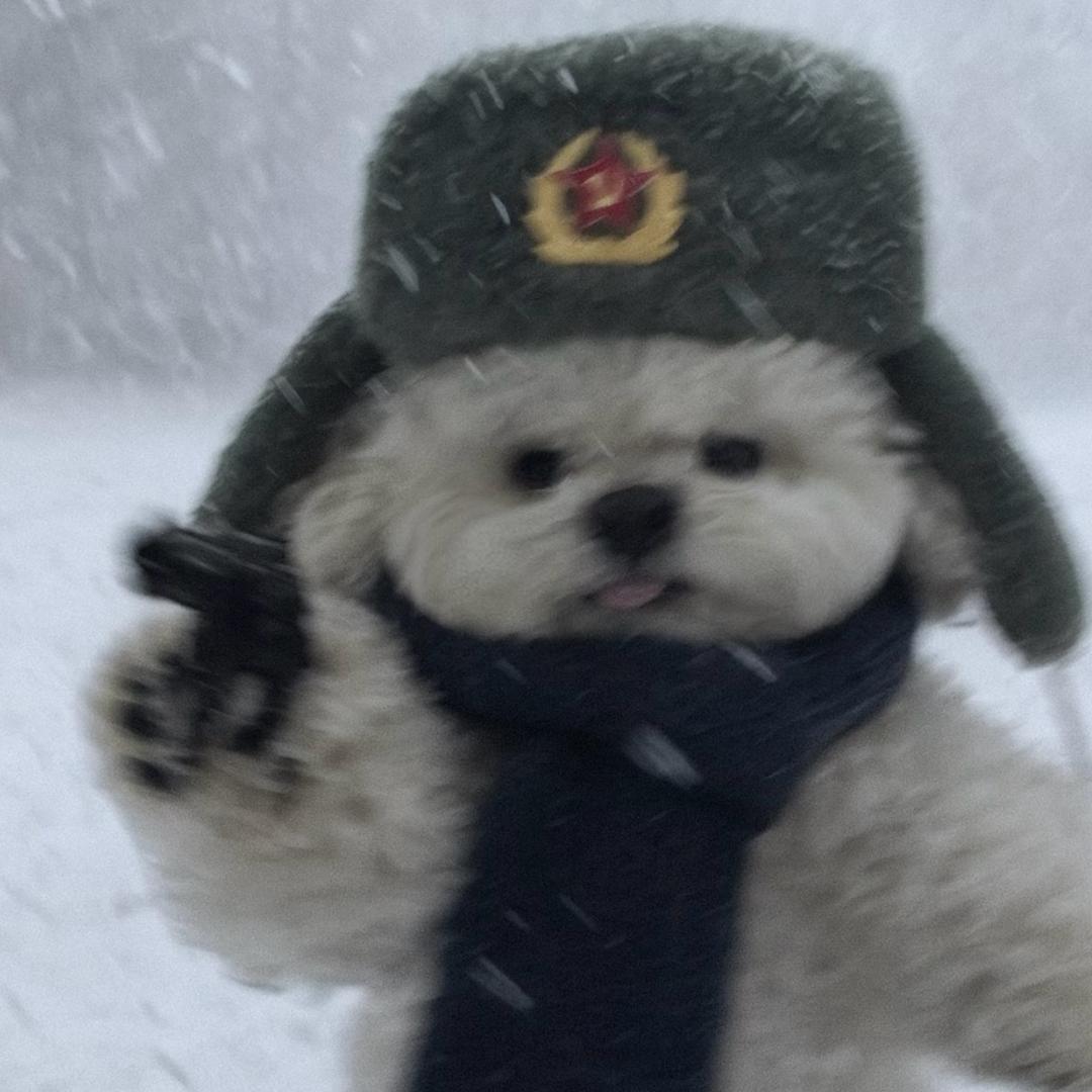 打小就银翼！