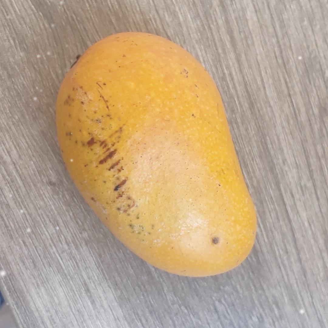 字紫生萿