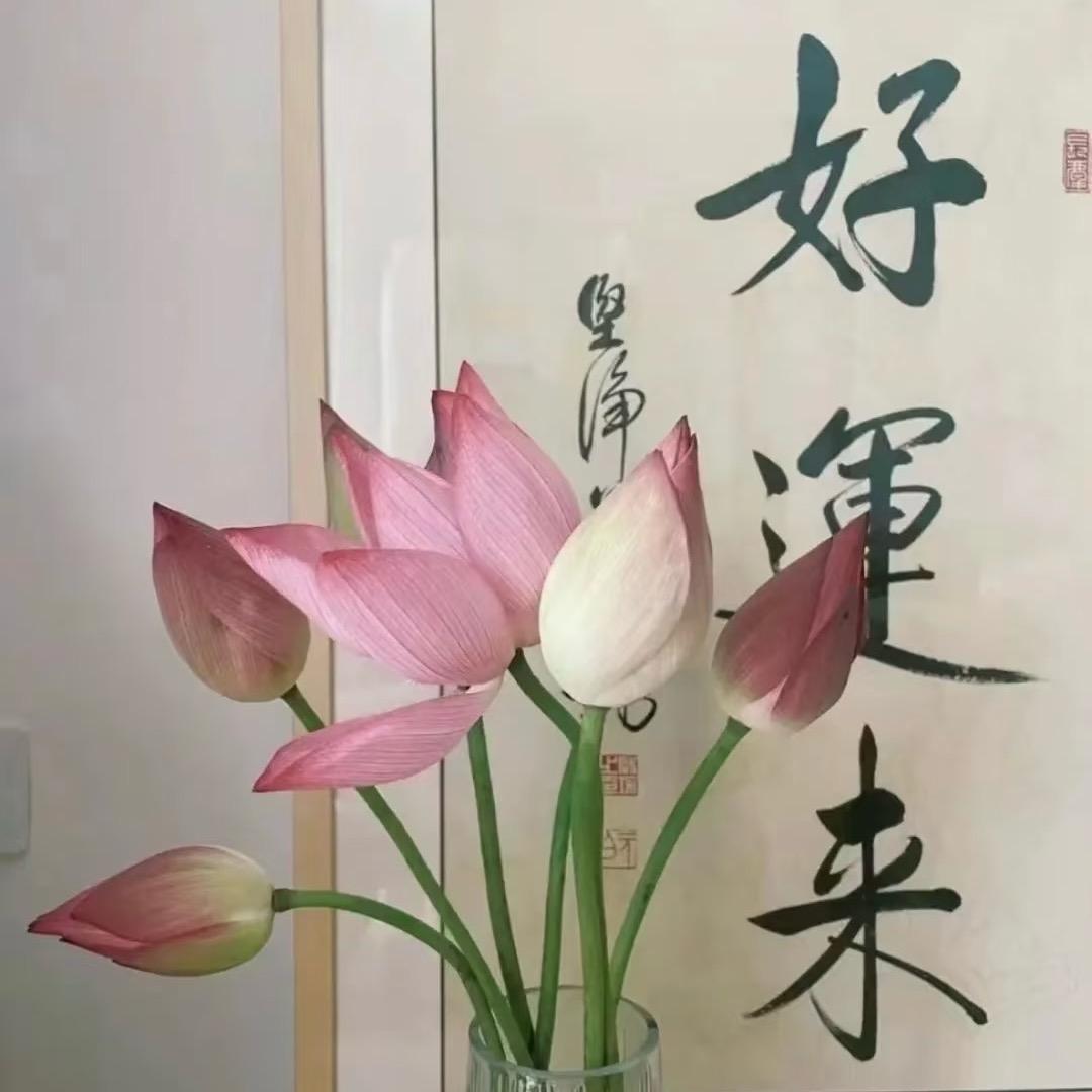 🍀郝运唻🍀✨✨