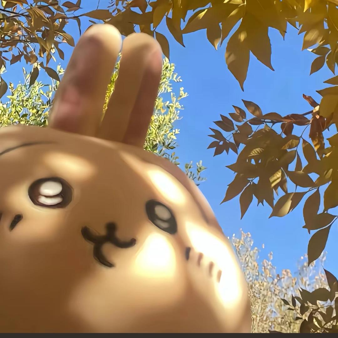 九儿～永不言败