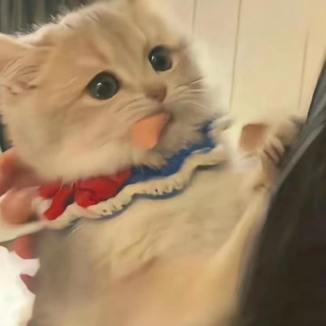 豆豉