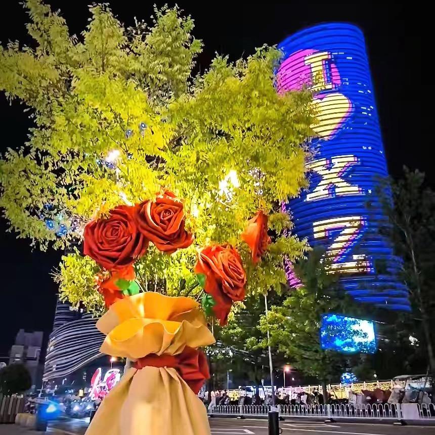 灵璧朋哥