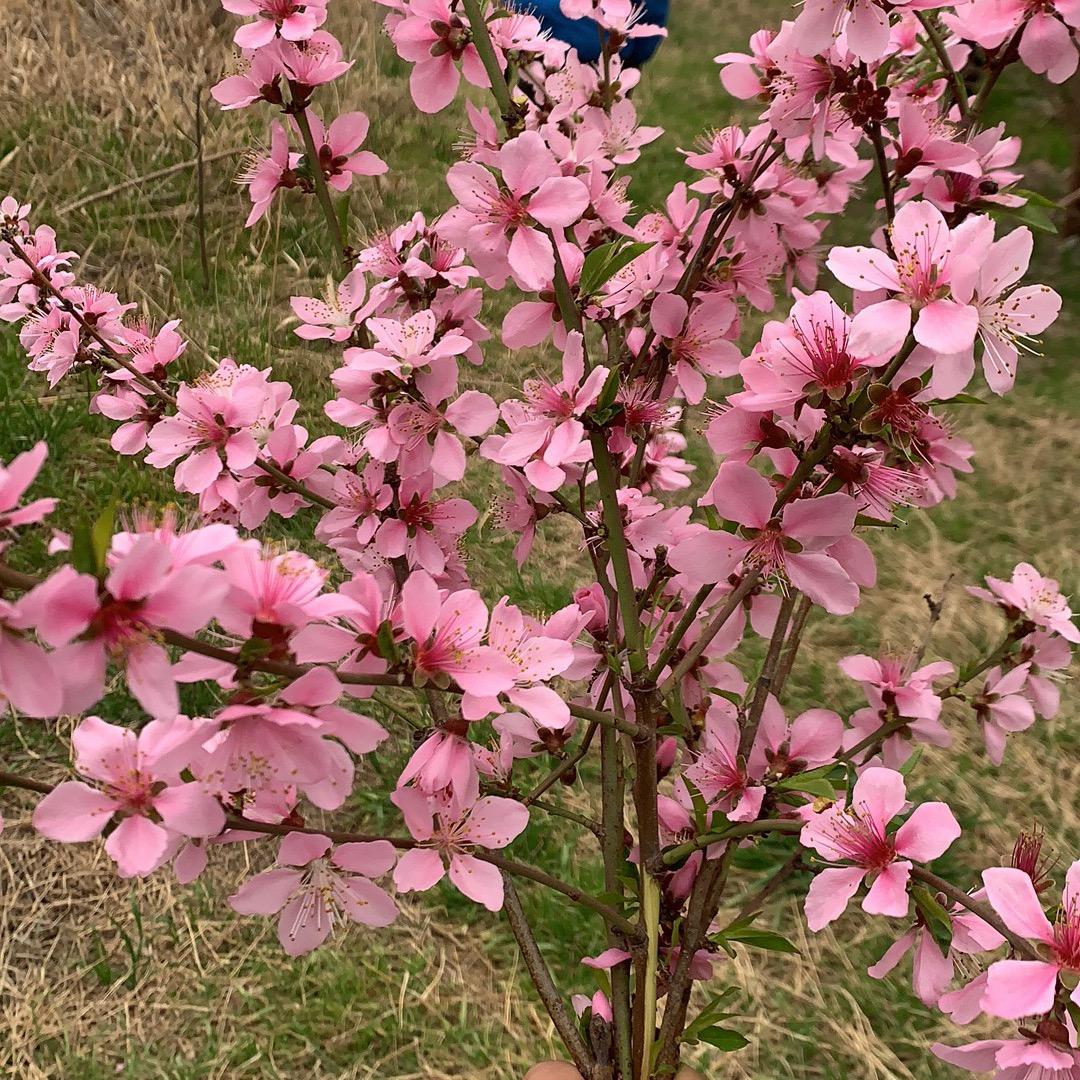 锦慧媛～芊慧颖女装