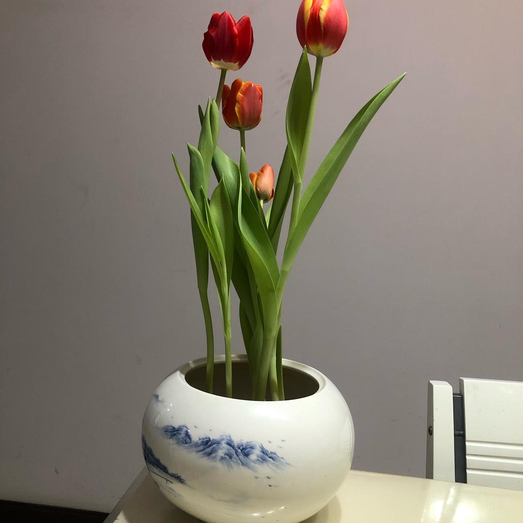 马明军