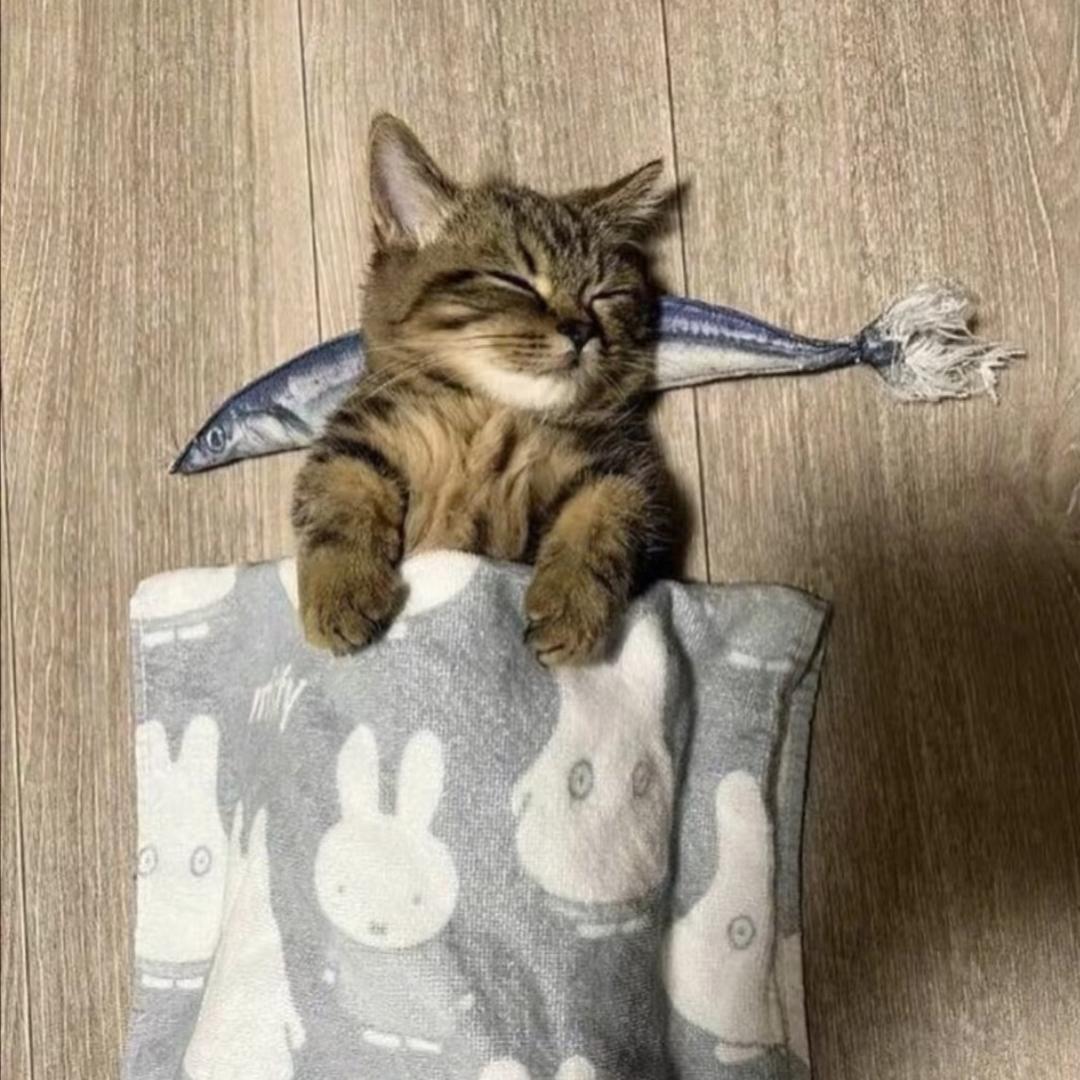 ￴￴ ￴￴ ￴ ￴ ￴ ￴ ￴￴ ￴￴