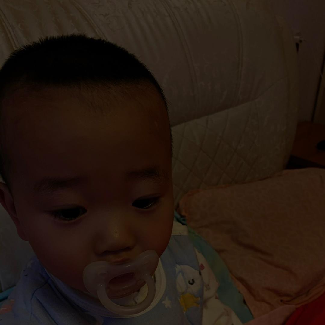 段耀辉