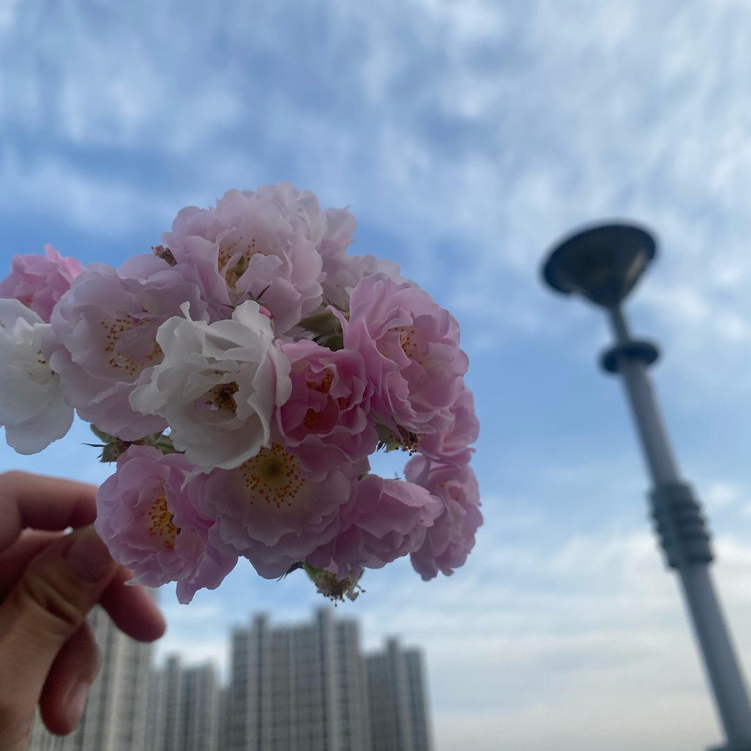 爱叨叨的小仙女